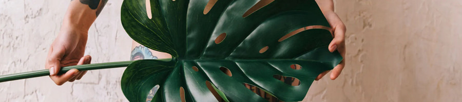 KutjeSmaaktLekkerBlogPic1